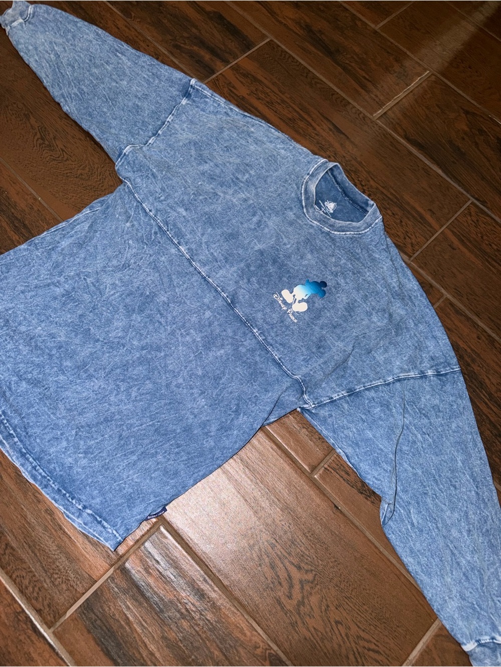 Disney Parks Cast Member Spirit Jersey